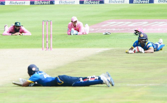 Players take cover as bees storm the field and interrupt the match during Sril Lanka's innings on Saturday