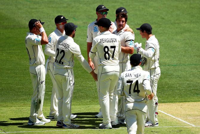 New Zealand's Colin de Grandhomme successfully appeals for the wicket of Australia's Joe Burns