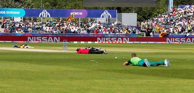 The umpire, Sri Lanka and South Africa players lie on the ground to avoid bees