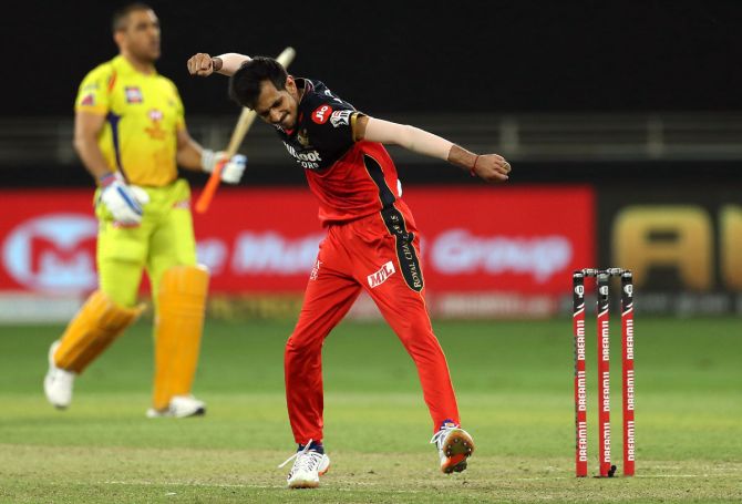 Yuzvendra Chahal celebrates after taking the wicket of Mahendra Singh Dhoni