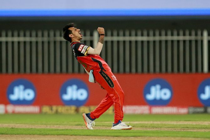 Yuzvendra Chahal celebrates after taking the wicket of Dinesh Karthik.