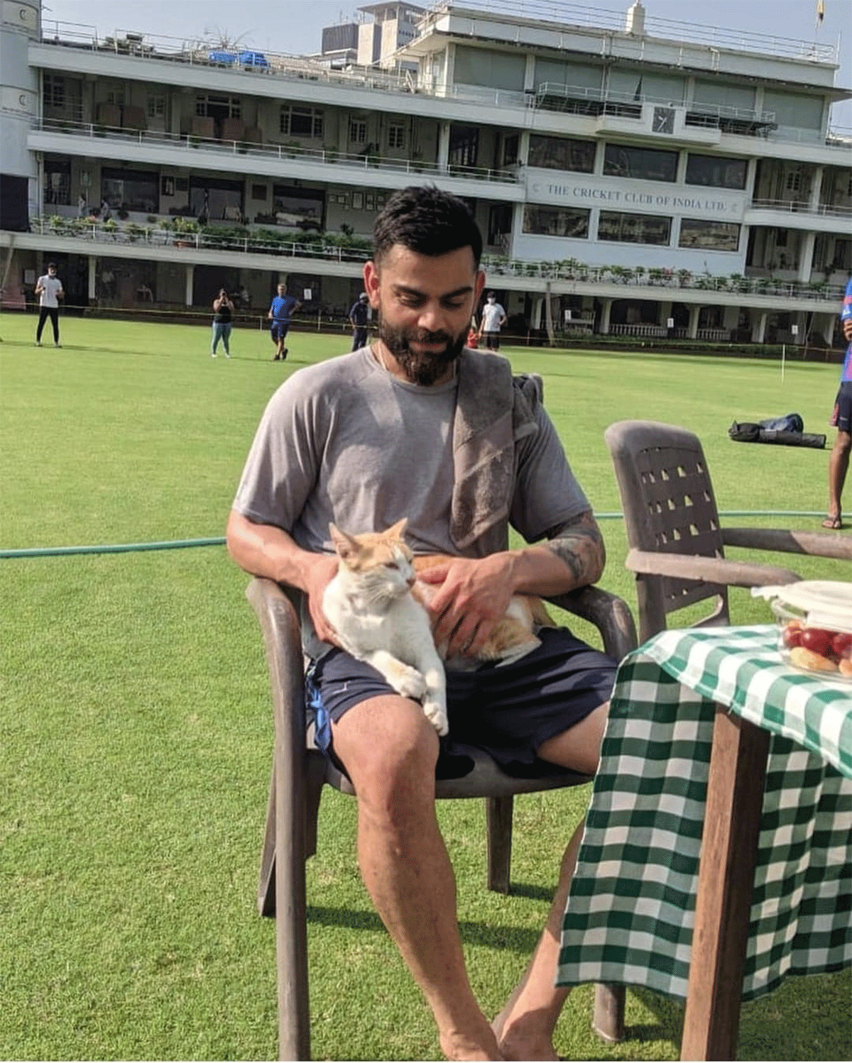 Virat Kohli pets a cat while taking a break from practice