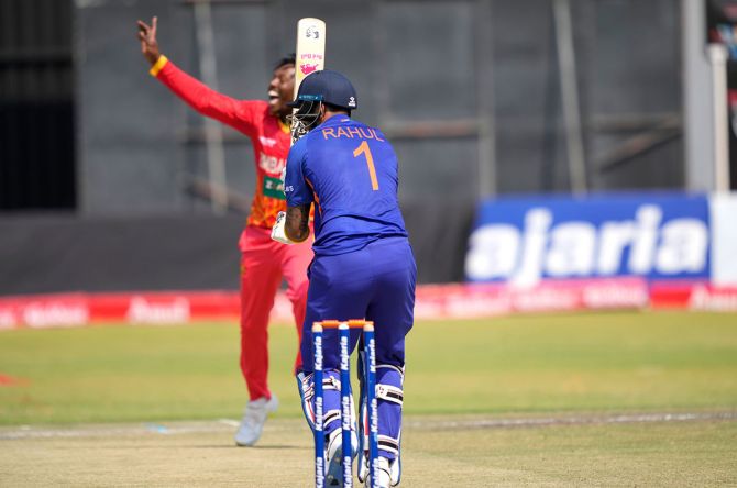 Victor Nyauchi celebrates after picking up the wicket of KL Rahul.
