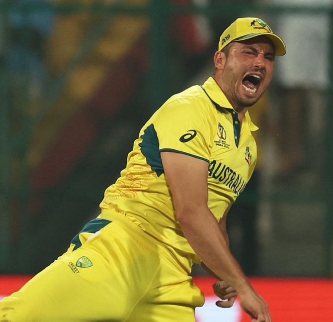 Marcus Stoinis celebrates Australia's win over Pakistan