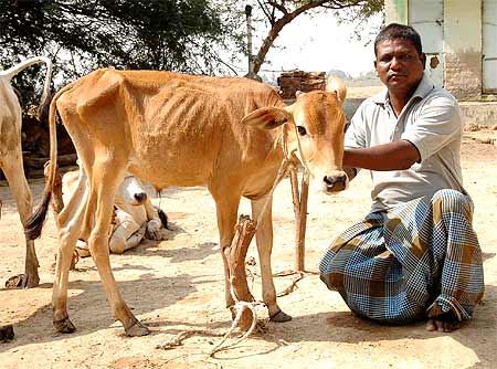Landowners like Jayachandra Naidu have given up farming