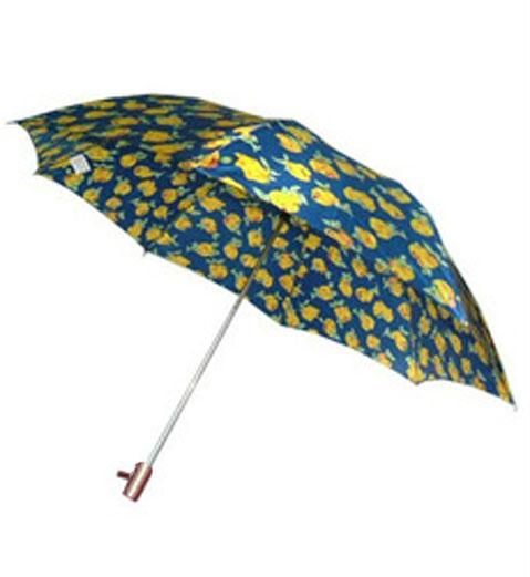Buy Umbrellas For Summer