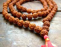 Rudraksha mala