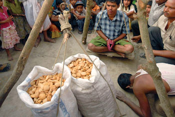 A devotee is weighed against sweets as an offering to Krishna during Hari Puja at Kishori Mohanpur
