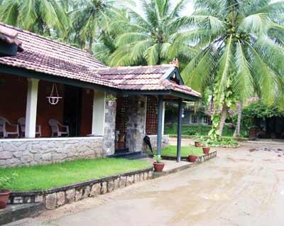 The Banyan Tree homestay at Pollachi