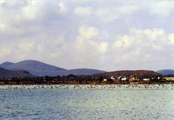 Lake Chilika