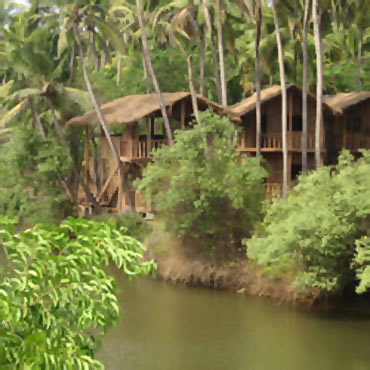 Ashiyana Tropical Retreat Centre, Goa