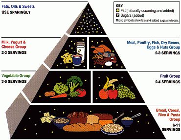 The USDA Food Pyramid