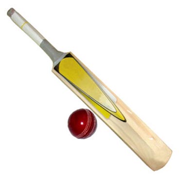 A cricket bat and ball