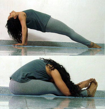 Forward bends need backbends as counter poses.