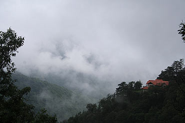 The misty hillside