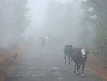 A walk through the mist
