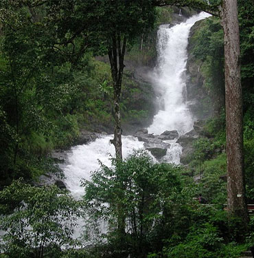 Coorg is a nature lover's paradise