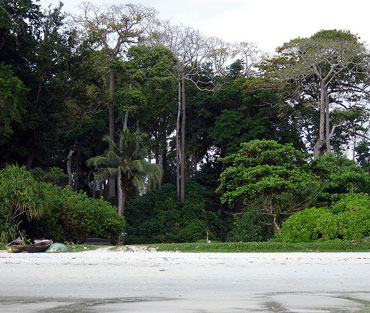 Beach No 7, Havelock Island, Andaman and Nicobar Islands