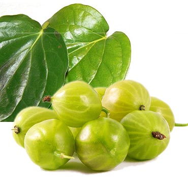 Apply a mixture of ground betel leaves and gooseberry