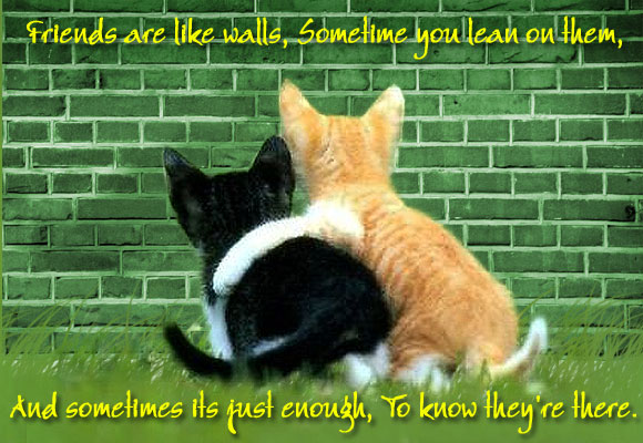 Top 8 favourite friendship quotes -- Share yours too! - Rediff Getahead
