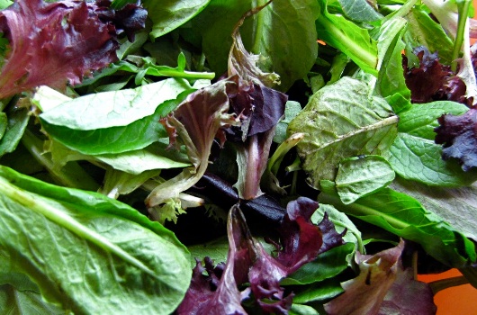 Taking B vitamins will keep your memory sharp, so eat lots of folate-rich greens