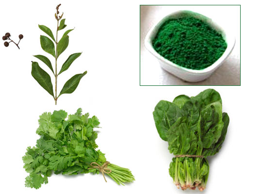 Use henna leaves (top left), coriander (bottom left) or spinach (bottom right) to get green colour (inset)