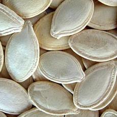 Pumpkin seeds