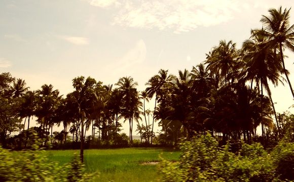 Goa: Photograph: Kind courtesy Aditi Bose