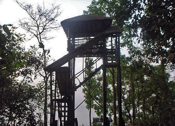 Forest Watch Tower in Pilibhit Forest Range