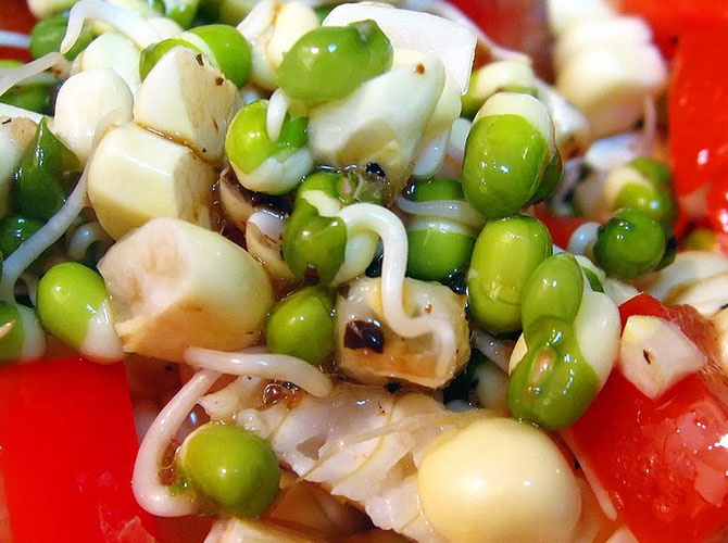 Garlic Sprouts Salad