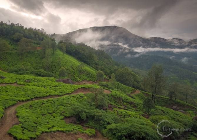 Munnar