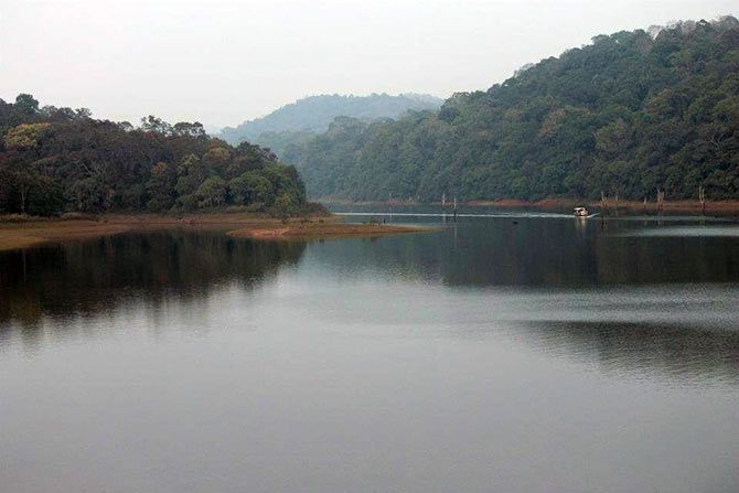 Periyar Lake, Thekkady, Kerala (Pic credit Suchismita Bannerji)