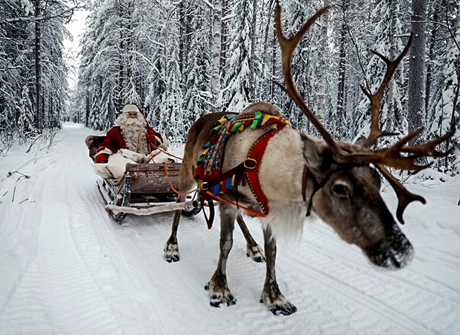 Reindeer at work: It's Christmas after all - Rediff.com Get Ahead