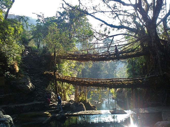 The double layered root bridges of Nongriat village