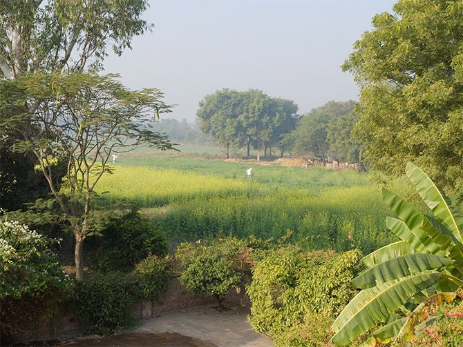 Col Sudhir's Farm in Kota