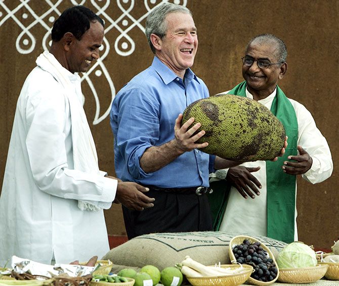George W Bush jackfruit