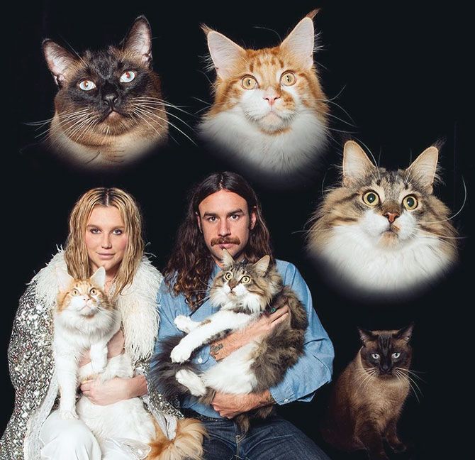 Celebs and their cats