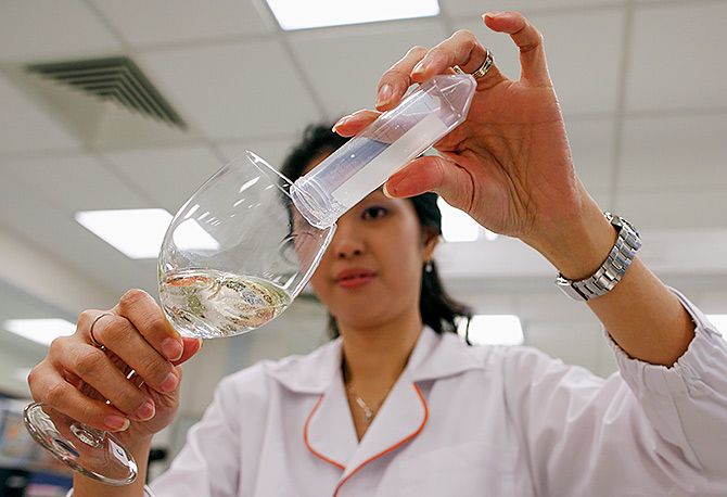 A food scientist examines a sample of wine in the laboratory