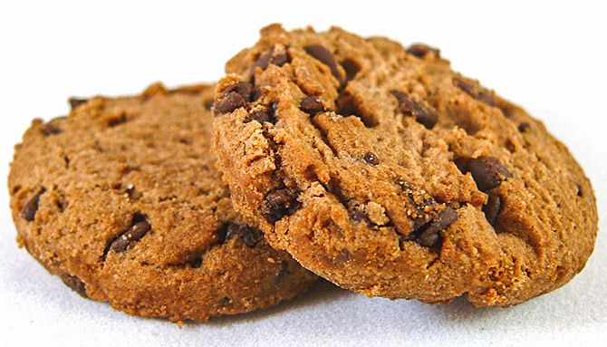 Chocolate and peanut butter oatmeal cookie