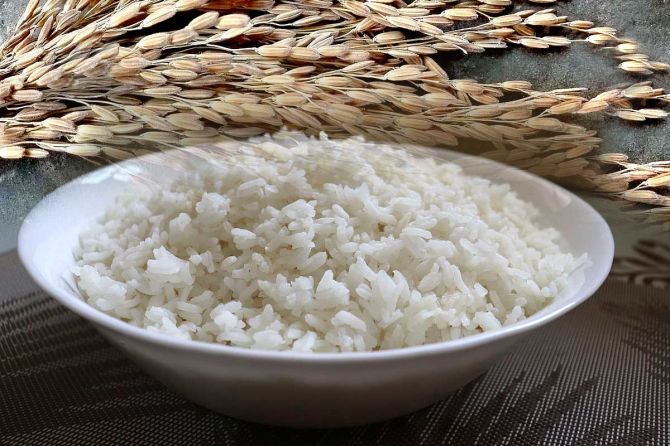 Rice