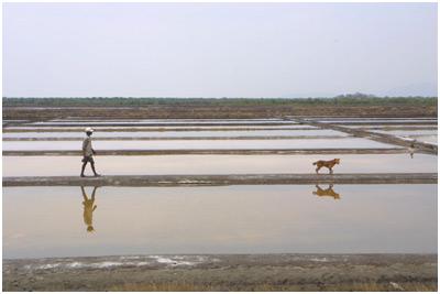 Rediff Com Hindi Salt In The Making