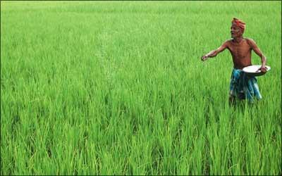 A farmer works in a paddy field. | Photograph: Parthajit Dutta/AFP/Getty Images