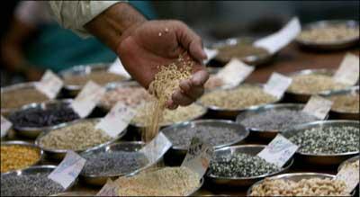 A trader checks the quality of grains at a wholesale market in Mumbai. | Photograph: Pal Pillai/AFP/Getty Images