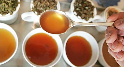 A tea broker and taster samples different types of tea.