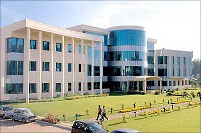 Infosys makes it a point to hire global interns