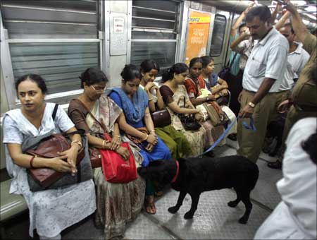 Sniffer dog from Indian Railway police checks passengers' bags inside compartment of Kolkata Metro.