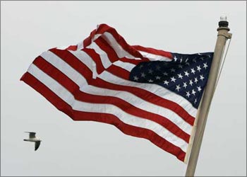 An American flag flutters in the wind as a bird flies past.