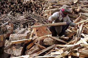 A worker prepares firewood for a biomass gasifier power plant in Gosaba.