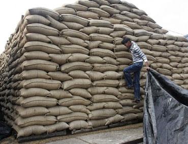 Food grain stocks.