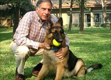 Ratan Naval Tata with one of his dogs.